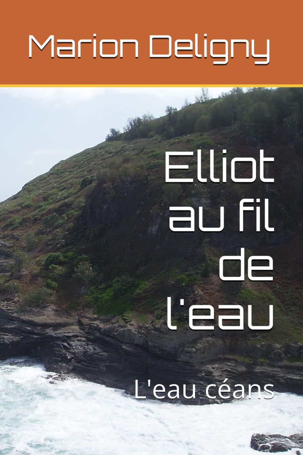 Judith Le Ribaut Elliot Au Fil De L Eau Monbestseller