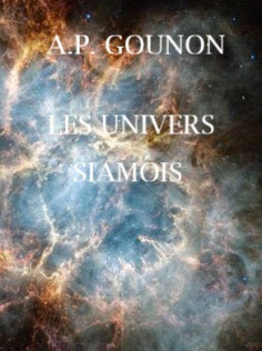 Les univers siamois