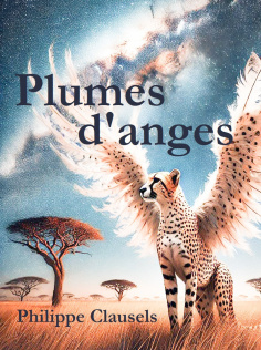 PLUMES D'ANGES